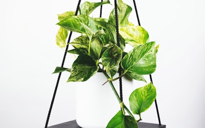 英格兰超级联赛比赛场景，球员激烈拼抢